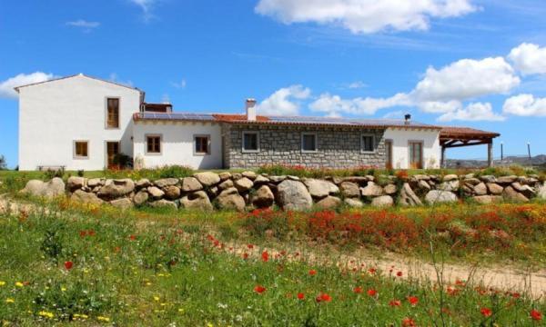 Tenute Testoni Agriturismo E B&B Bassacutena Exterior foto
