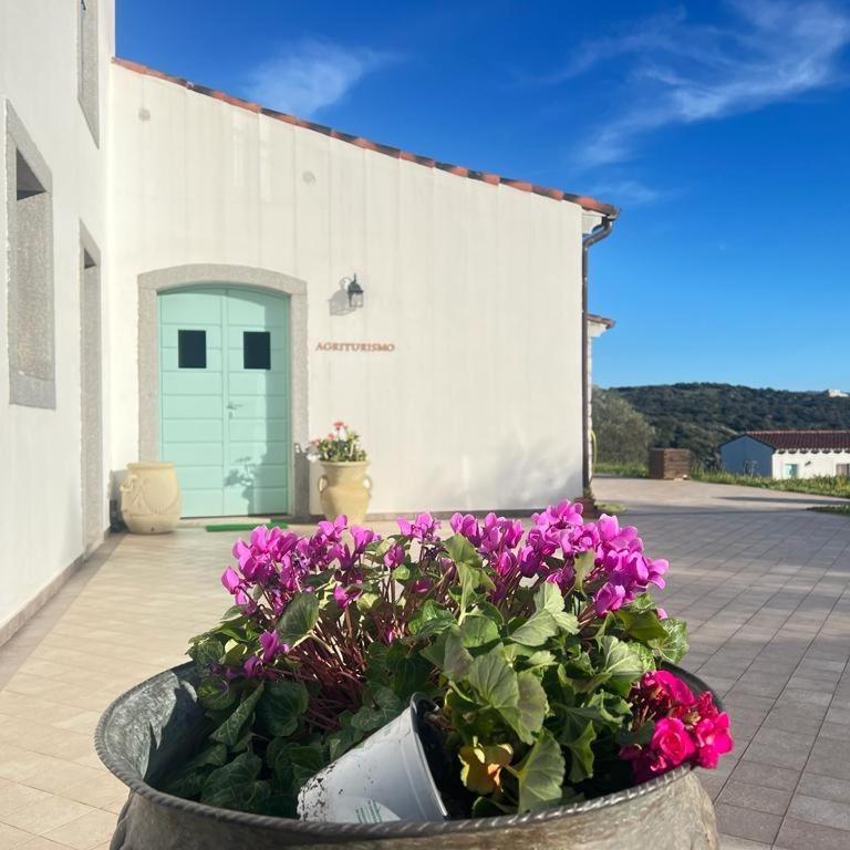 Tenute Testoni Agriturismo E B&B Bassacutena Exterior foto